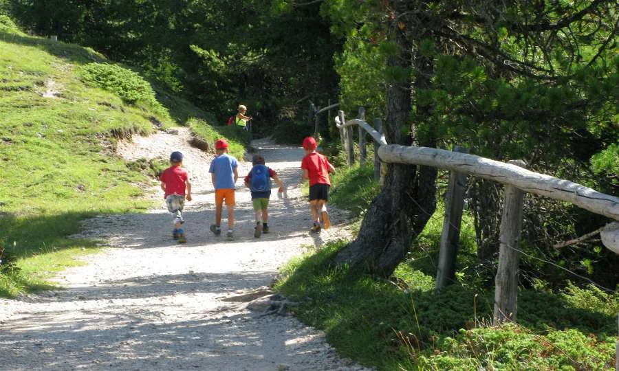 Kinder auf dem Wanderweg im Wald